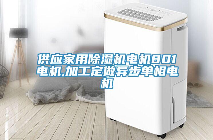 供應(yīng)家用除濕機電機801電機,加工定做異步單相電機