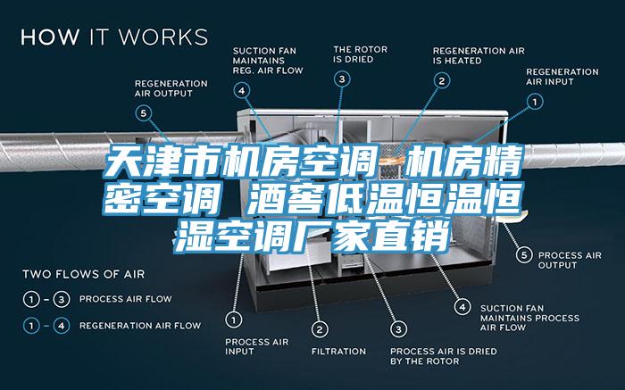 天津市機(jī)房空調(diào) 機(jī)房精密空調(diào) 酒窖低溫恒溫恒濕空調(diào)廠家直銷