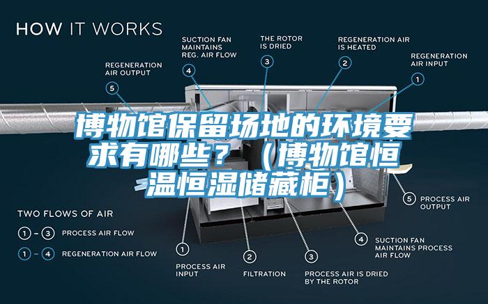 博物館保留場地的環(huán)境要求有哪些？（博物館恒溫恒濕儲藏柜）