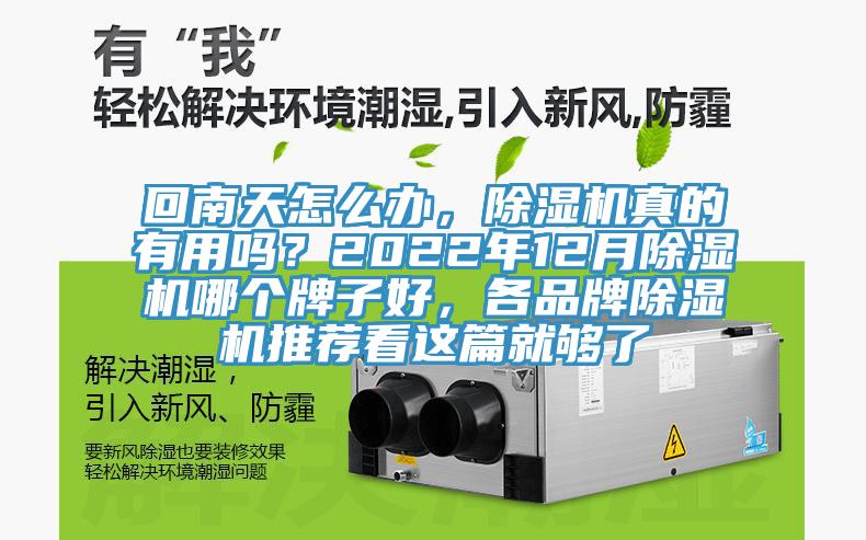 回南天怎么辦，除濕機真的有用嗎？2022年12月除濕機哪個牌子好，各品牌除濕機推薦看這篇就夠了