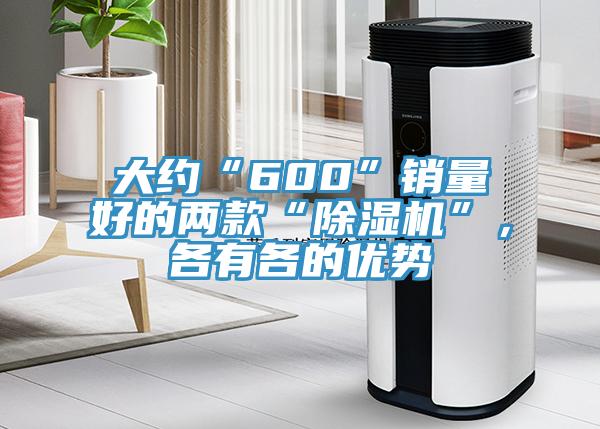 大約“600”銷量好的兩款“除濕機(jī)”，各有各的優(yōu)勢