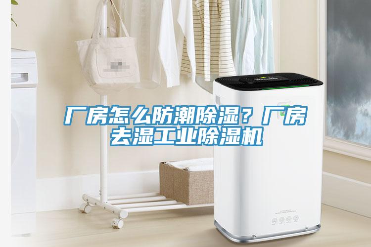 廠房怎么防潮除濕？廠房去濕工業(yè)除濕機