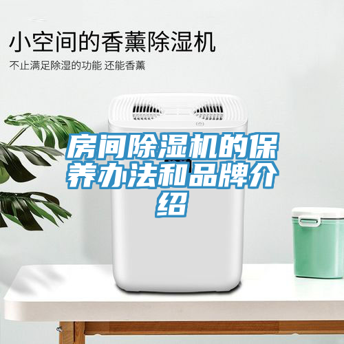 房間除濕機的保養(yǎng)辦法和品牌介紹