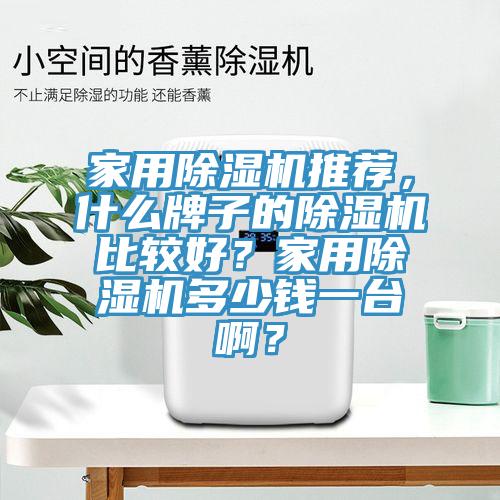 家用除濕機(jī)推薦，什么牌子的除濕機(jī)比較好？家用除濕機(jī)多少錢(qián)一臺(tái)??？