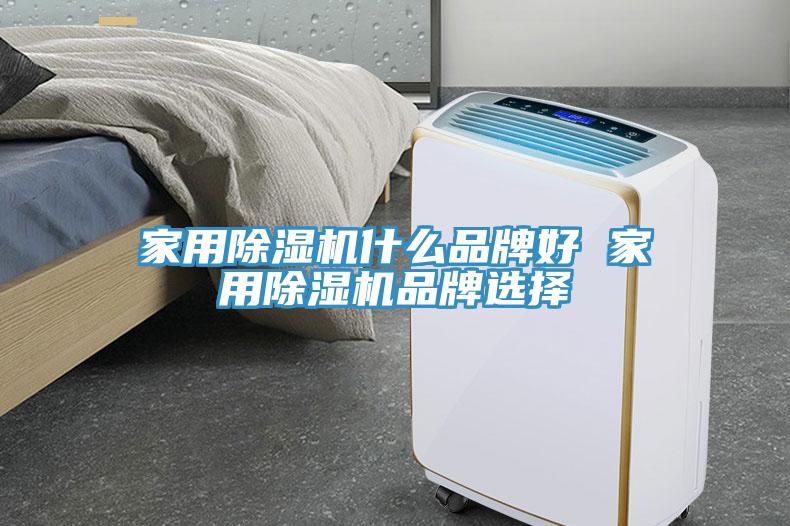 家用除濕機(jī)什么品牌好 家用除濕機(jī)品牌選擇