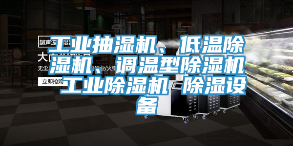 工業(yè)抽濕機、低溫除濕機、調(diào)溫型除濕機 工業(yè)除濕機 除濕設備