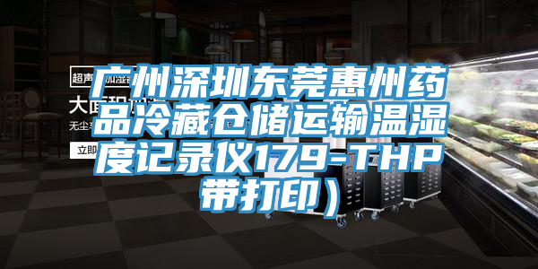 廣州深圳東莞惠州藥品冷藏倉儲運(yùn)輸溫濕度記錄儀179-THP帶打?。?></div>
								<div   id=