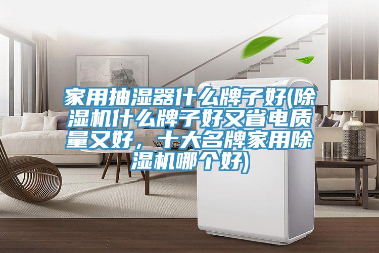 家用抽濕器什么牌子好(除濕機(jī)什么牌子好又省電質(zhì)量又好，十大名牌家用除濕機(jī)哪個(gè)好)