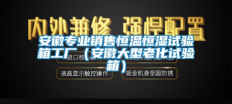 安徽專業(yè)銷售恒溫恒濕試驗箱工廠（安徽大型老化試驗箱）