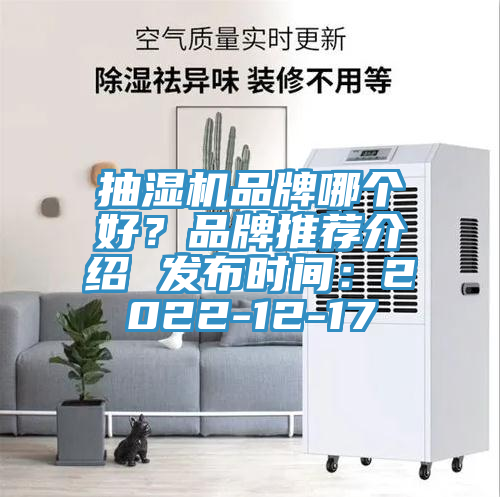 抽濕機(jī)品牌哪個(gè)好？品牌推薦介紹 發(fā)布時(shí)間：2022-12-17