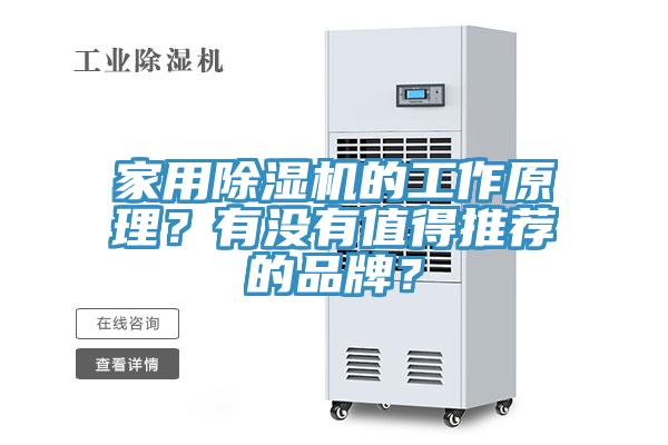 家用除濕機的工作原理？有沒有值得推薦的品牌？