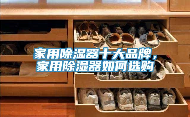 家用除濕器十大品牌，家用除濕器如何選購