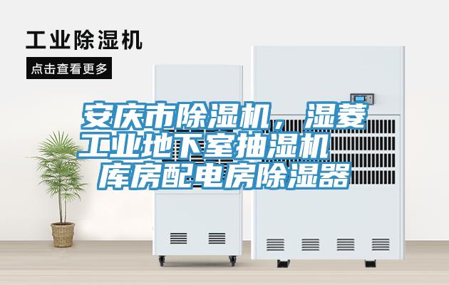 安慶市除濕機，濕菱工業(yè)地下室抽濕機  庫房配電房除濕器