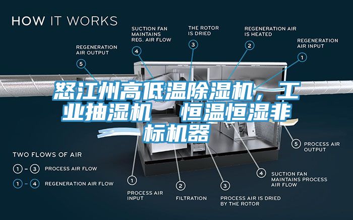 怒江州高低溫除濕機(jī)，工業(yè)抽濕機(jī)  恒溫恒濕非標(biāo)機(jī)器