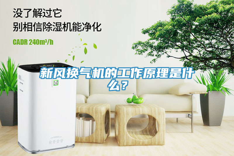 新風(fēng)換氣機的工作原理是什么？