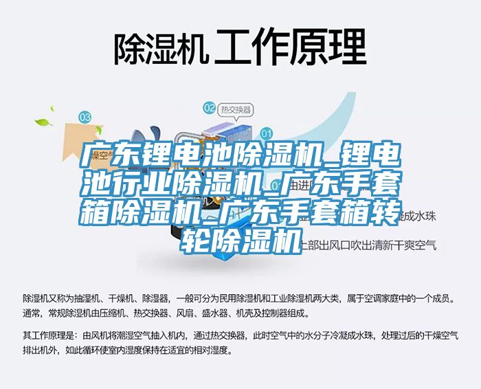 廣東鋰電池除濕機_鋰電池行業(yè)除濕機_廣東手套箱除濕機_廣東手套箱轉(zhuǎn)輪除濕機