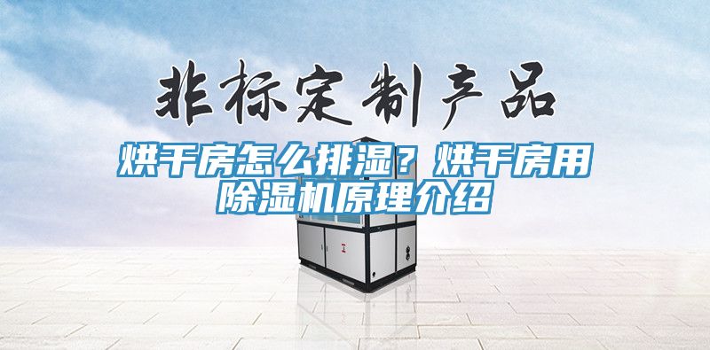 烘干房怎么排濕？烘干房用除濕機原理介紹