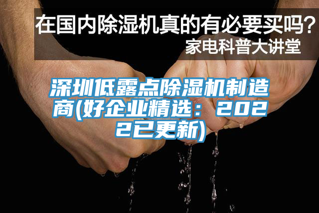 深圳低露點(diǎn)除濕機(jī)制造商(好企業(yè)精選：2022已更新)