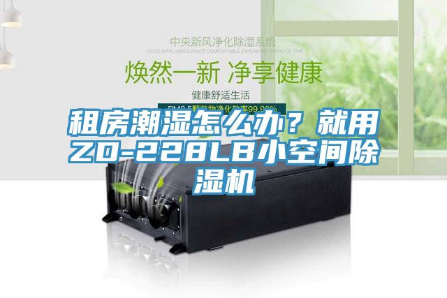 租房潮濕怎么辦？就用ZD-228LB小空間除濕機(jī)