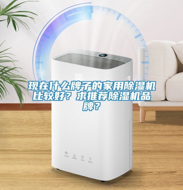 現(xiàn)在什么牌子的家用除濕機(jī)比較好？求推薦除濕機(jī)品牌？