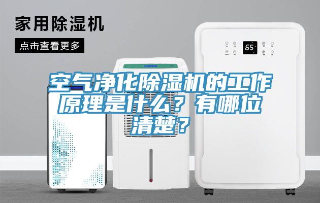 空氣凈化除濕機的工作原理是什么？有哪位清楚？