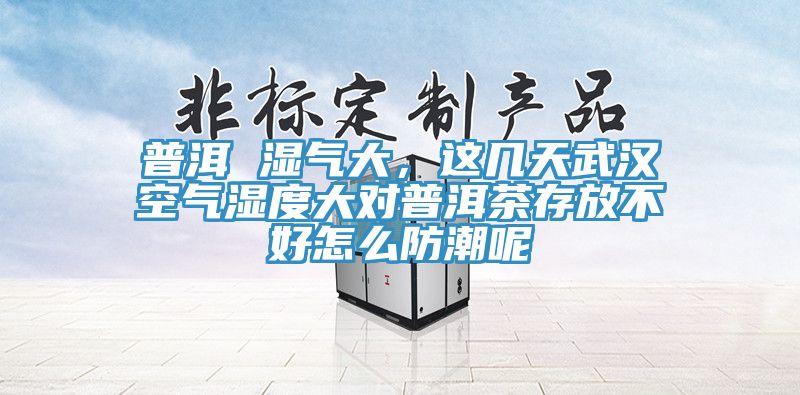 普洱 濕氣大，這幾天武漢空氣濕度大對普洱茶存放不好怎么防潮呢