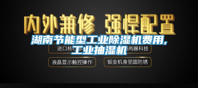 湖南節(jié)能型工業(yè)除濕機(jī)費(fèi)用,工業(yè)抽濕機(jī)