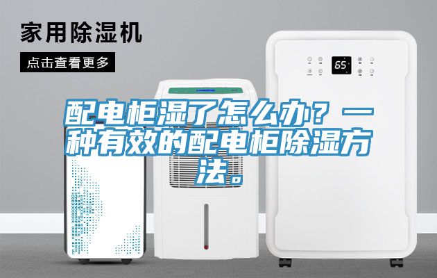 配電柜濕了怎么辦？一種有效的配電柜除濕方法。