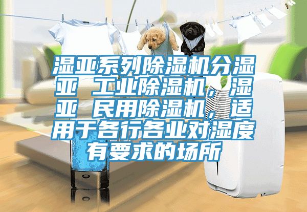 濕亞系列除濕機(jī)分濕亞 工業(yè)除濕機(jī)，濕亞 民用除濕機(jī)，適用于各行各業(yè)對(duì)濕度有要求的場(chǎng)所