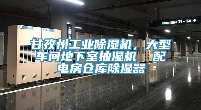 甘孜州工業(yè)除濕機(jī)，大型車間地下室抽濕機(jī)  配電房倉庫除濕器