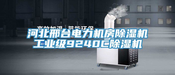 河北邢臺電力機房除濕機工業(yè)級9240C除濕機