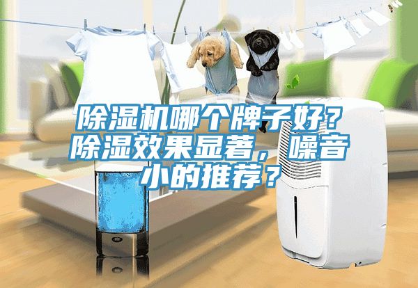 除濕機(jī)哪個(gè)牌子好？除濕效果顯著，噪音小的推薦？