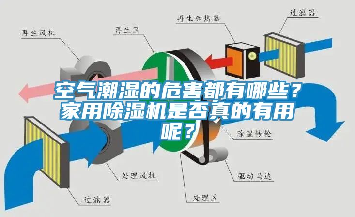 空氣潮濕的危害都有哪些？家用除濕機是否真的有用呢？