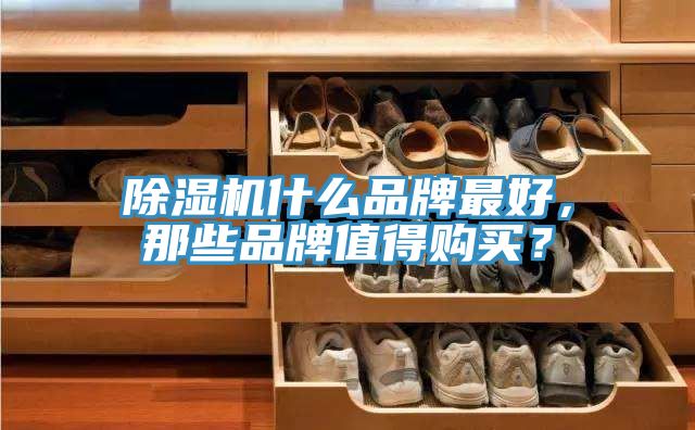 除濕機什么品牌最好，那些品牌值得購買？