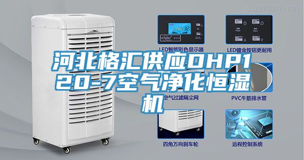 河北格匯供應(yīng)DHP120-7空氣凈化恒濕機(jī)