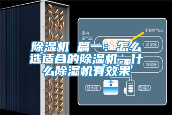 除濕機 篇一：怎么選適合的除濕機。什么除濕機有效果