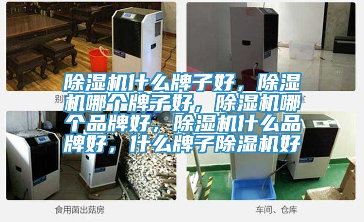 除濕機什么牌子好，除濕機哪個牌子好，除濕機哪個品牌好，除濕機什么品牌好，什么牌子除濕機好