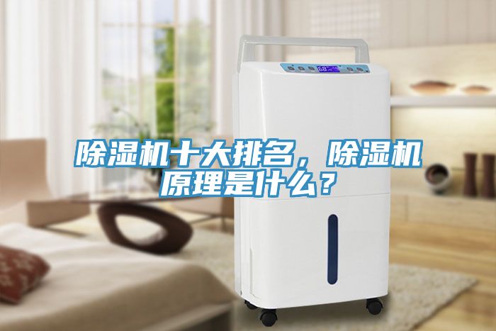 除濕機十大排名，除濕機原理是什么？