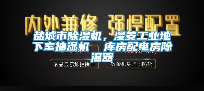 鹽城市除濕機(jī)，濕菱工業(yè)地下室抽濕機(jī)  庫房配電房除濕器