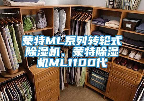 蒙特ML系列轉(zhuǎn)輪式除濕機、蒙特除濕機ML1100代