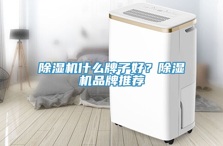 除濕機什么牌子好？除濕機品牌推薦