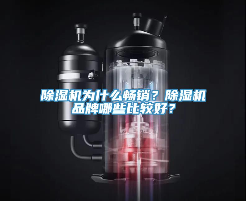 除濕機(jī)為什么暢銷？除濕機(jī)品牌哪些比較好？