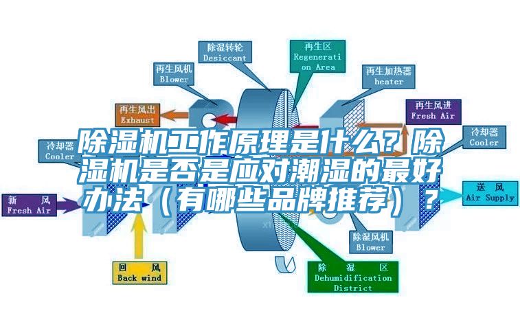 除濕機工作原理是什么？除濕機是否是應(yīng)對潮濕的最好辦法（有哪些品牌推薦）？