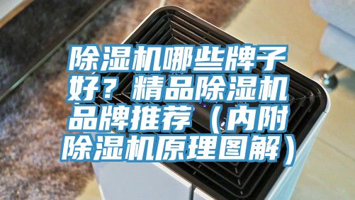 除濕機哪些牌子好？精品除濕機品牌推薦（內(nèi)附除濕機原理圖解）