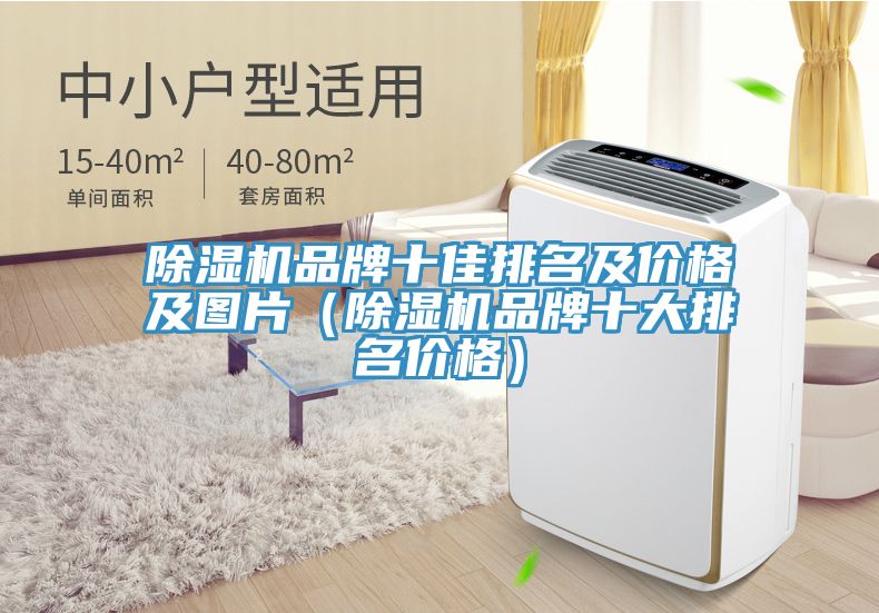 除濕機(jī)品牌十佳排名及價(jià)格及圖片（除濕機(jī)品牌十大排名價(jià)格）