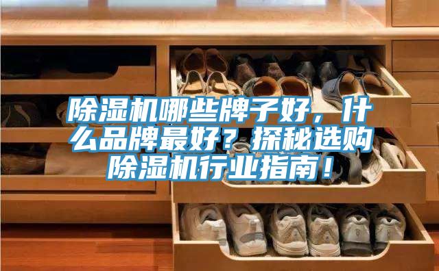 除濕機哪些牌子好，什么品牌最好？探秘選購除濕機行業(yè)指南！