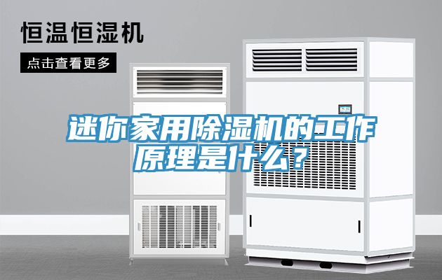 迷你家用除濕機(jī)的工作原理是什么？