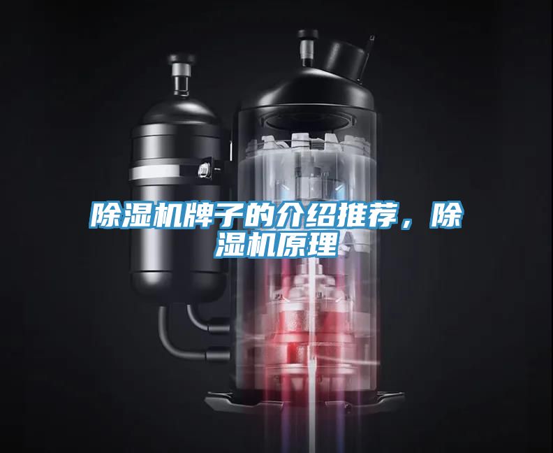 除濕機牌子的介紹推薦，除濕機原理