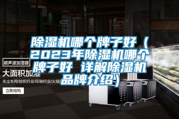 除濕機(jī)哪個牌子好（2023年除濕機(jī)哪個牌子好 詳解除濕機(jī)品牌介紹）