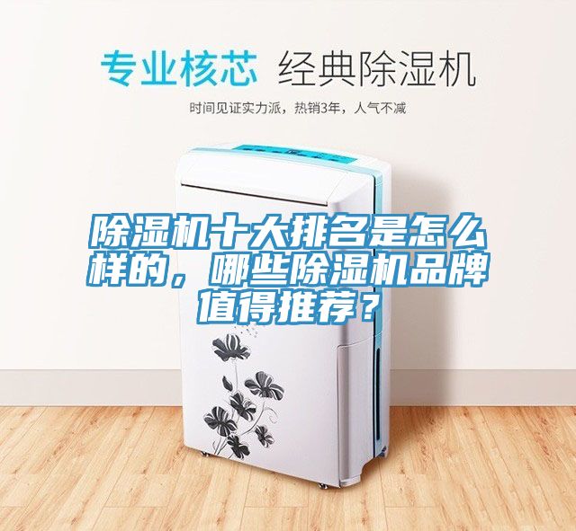 除濕機十大排名是怎么樣的，哪些除濕機品牌值得推薦？